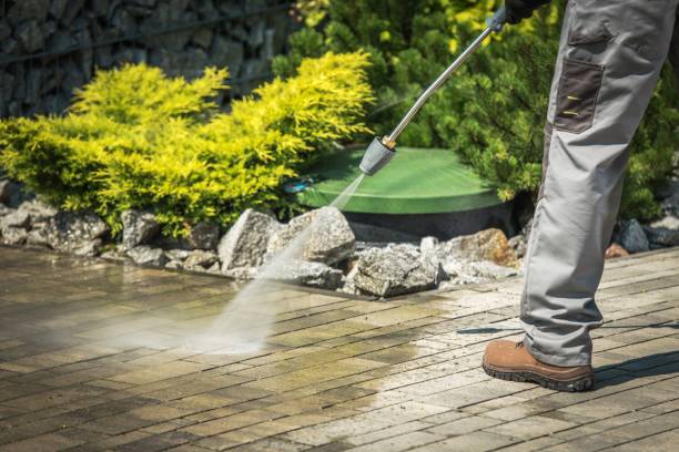 Best Driveway Cleaning and Restoration in La Riviera, CA